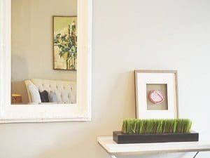 Services Auburn Glaziers 2 Mirrors Auburn